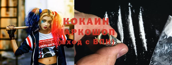 стафф Михайловск