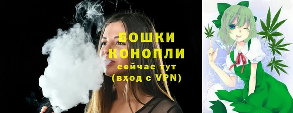 стафф Михайловск