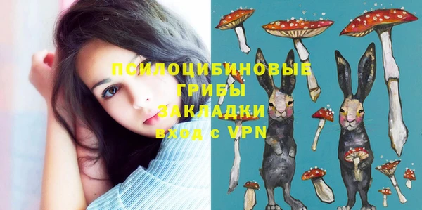 молекула духа Алапаевск