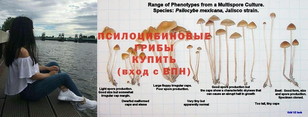 амф Михайлов