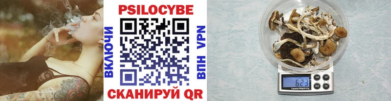 Псилоцибиновые грибы Psilocybine cubensis Вытегра