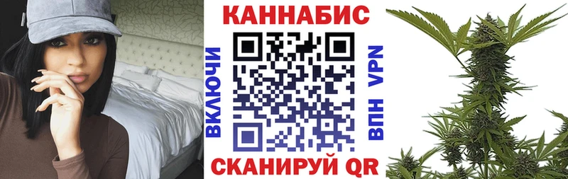 Каннабис план  купить наркотики сайты  гидра   Вытегра 